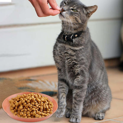 8pcs Cat Food Bowls, 6 inch Whisker Fatigue Cat Bowls for Food and Water Wheat Straw Shallow Wide Cat Dish Plates Colorful Kittens Wet Feeding Watering Tray for Pet Cats Dogs