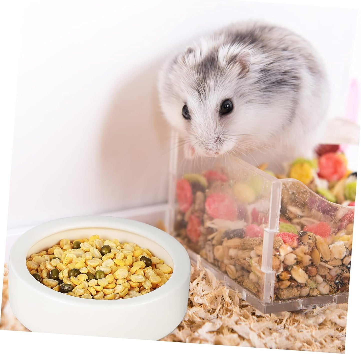 ERINGOGO 3Pcs Small Animal Feeding and Watering Set Durable Food Feeder Water Bottle for Hedgehog