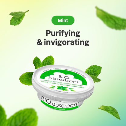 ATTITUDE Bio Absorbant Air Purifier with Activated Carbon Freshener, Made in Canada, Odor Remover, Plant and Mineral-Based, Vegan, Mint, 227 grams