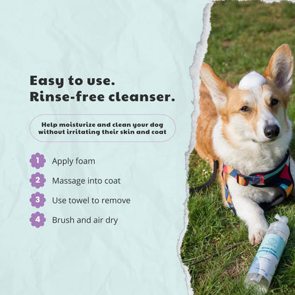 Drby Pet Co. No-Rinse Foaming Cleanser – Quick and Gentle Pet Hygiene (Lavender)