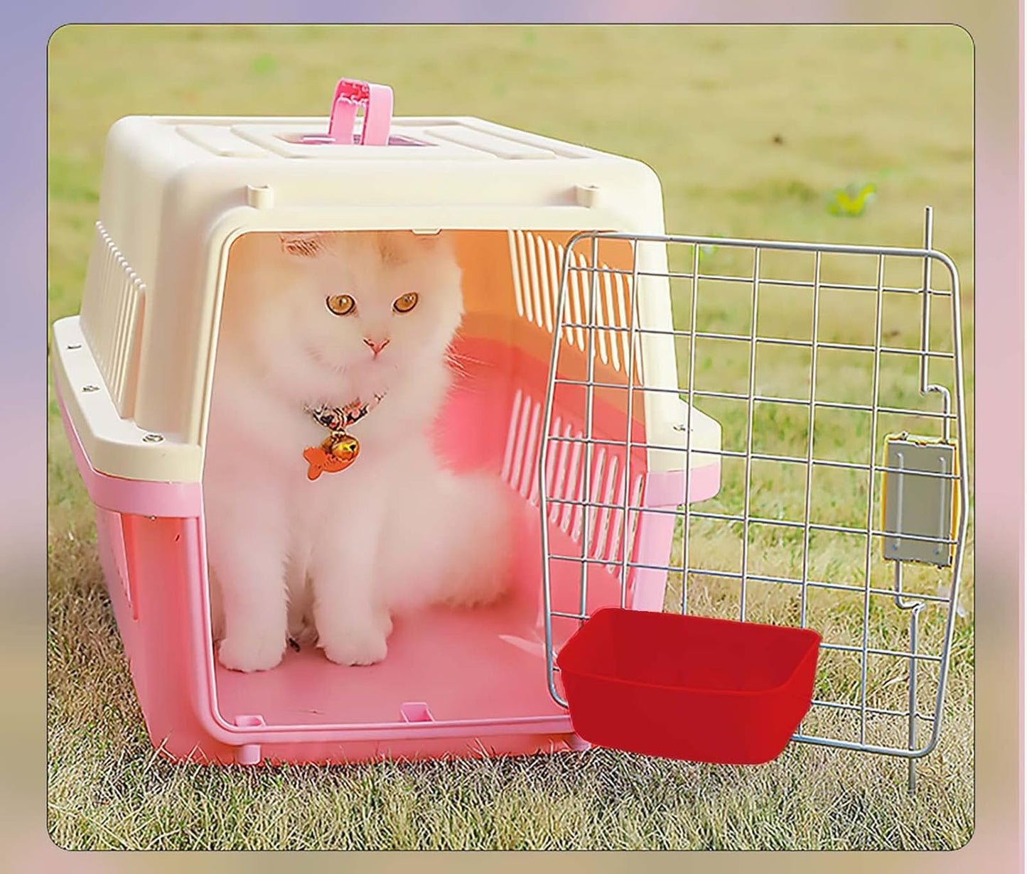 6 Pack Rabbit Feeder Waterer Chicken Large Food Water Cups for Cage Puppy Cat Hanging Feeding Dish Coop Bowl Watering Container Treats Drinker for Pigeon Bird Bath Basin Hamster Bed