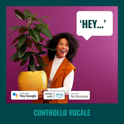 Wiz Outdoor String Light