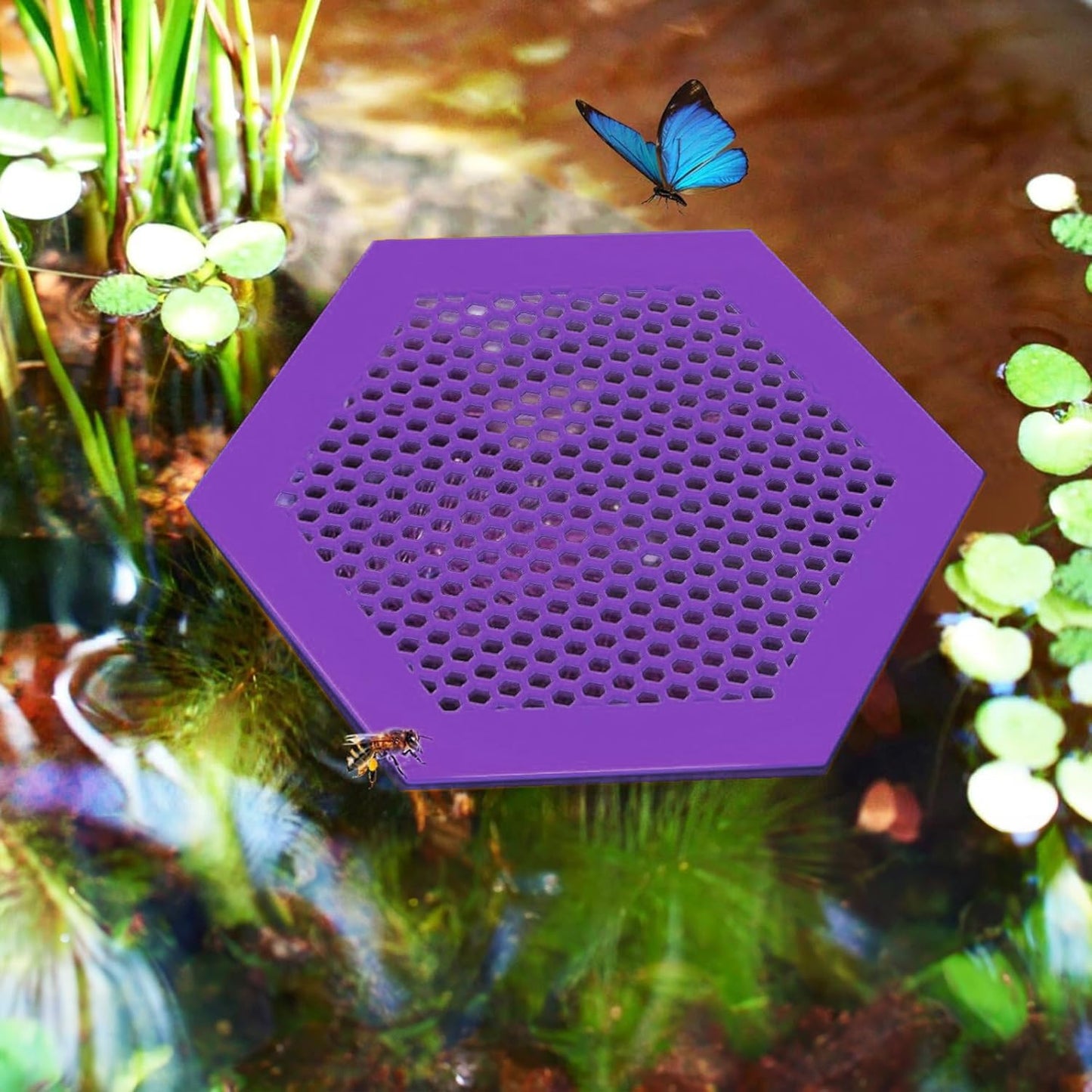 Proxima Direct 1 Pack Large Floating Bee Island for Driking Floatable Bee Waterer Bee Feeder with Beehive Design, Floating Watering Station for Feeding for Outdoor Garden (Purple)