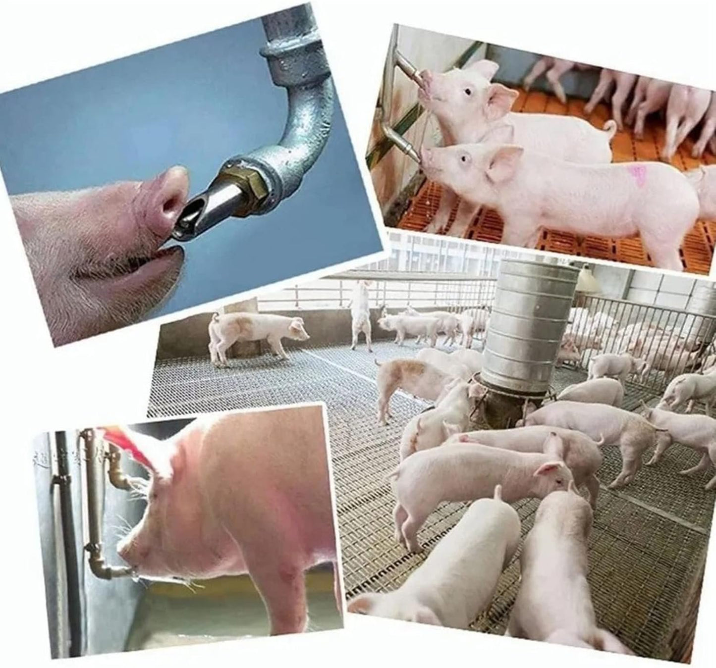 10 Pcs Stainless Steel Nipple Waterer, Automatic Poultry Waterers for Cattle Horses Pigs Sows Dogs Prevent Leakage Poultry Watering Drinker Nipple