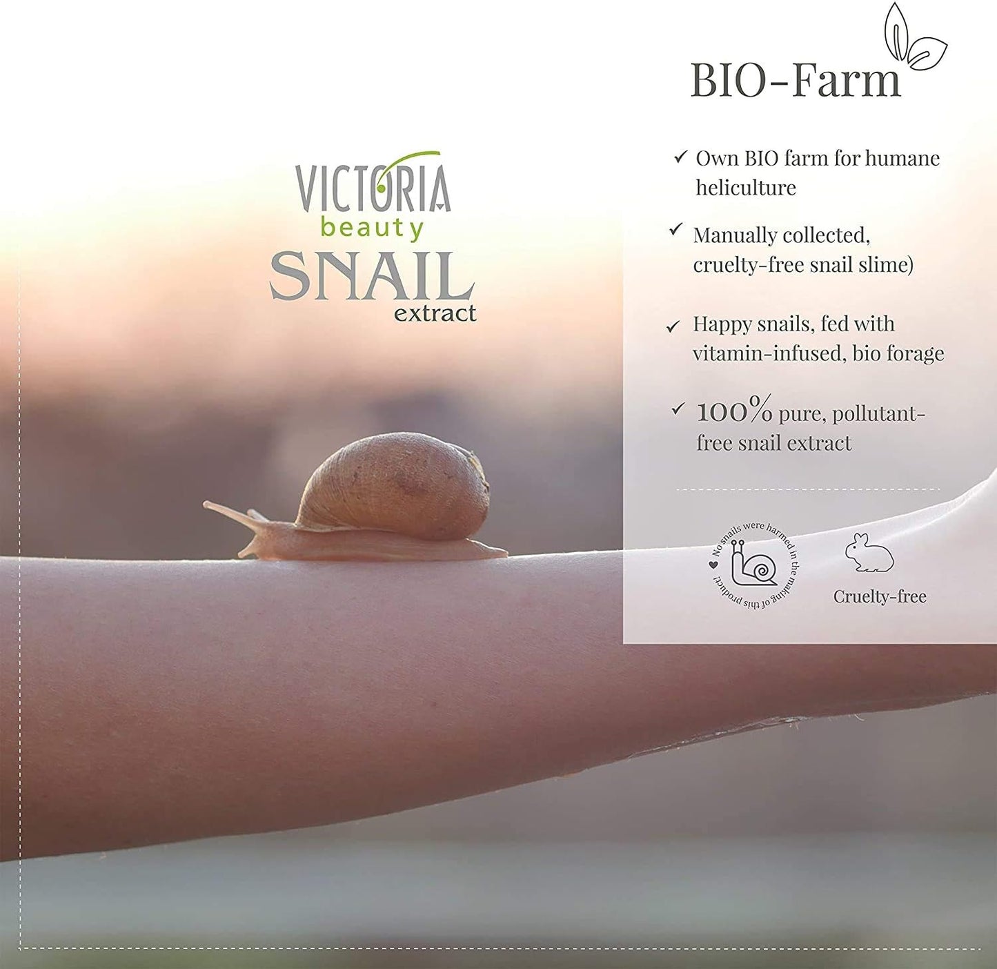 Victoria Beauty - Night and Day Face Cream - Anti-Age - Snail Extract Concentrate - 50ml
