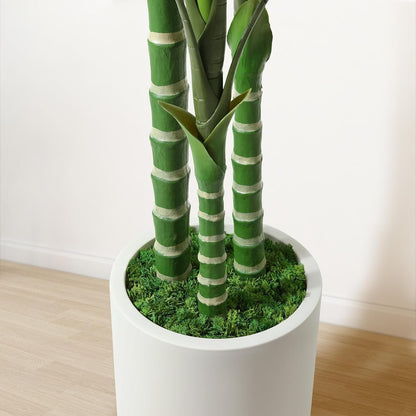 OAKRED Artificial Palm Tree, 7FT Fake Tree for Indoor,Faux Golden Cane Palm Tree with White Planter and Fake Moss, Fake Tropical Plant for Home Decor Office Porch