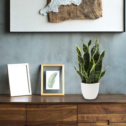Artificial Snake Plant Potted Faux Sansevieria Trifasciata Plants, 17" Tropical Fake Plants in White Pots for Home Office Desk Outdoor Décor Housewarming Gift