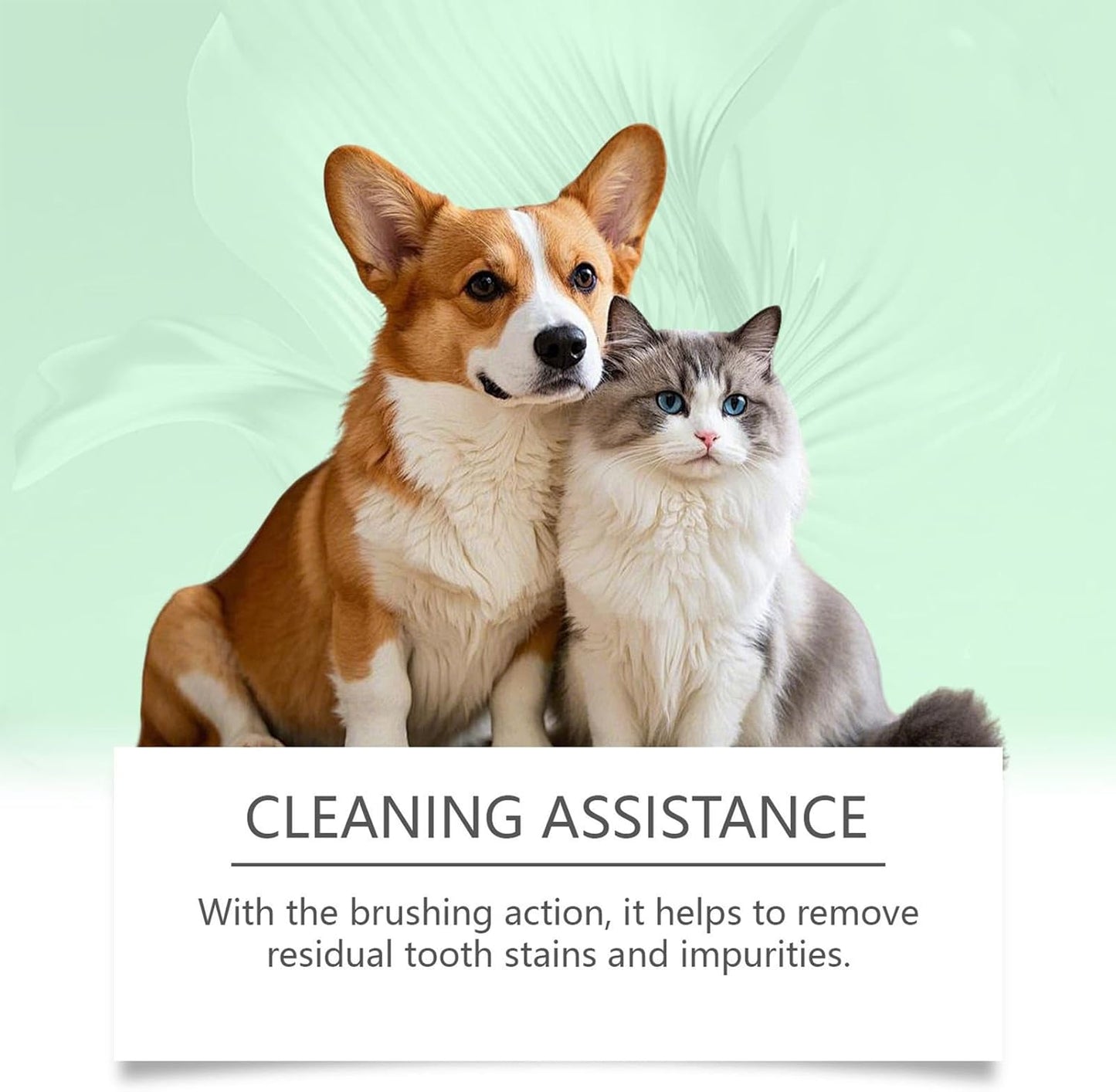 Pet Toothbrush Pen, Dog Personal Care Cleaner, 0,51 x 4,96 Inches Cat Buccal Tool Bad Breath Eliminator, Teeth Brightener Portable Health Care Solution for Travel, Vet, Visita, Igiene giornaliero