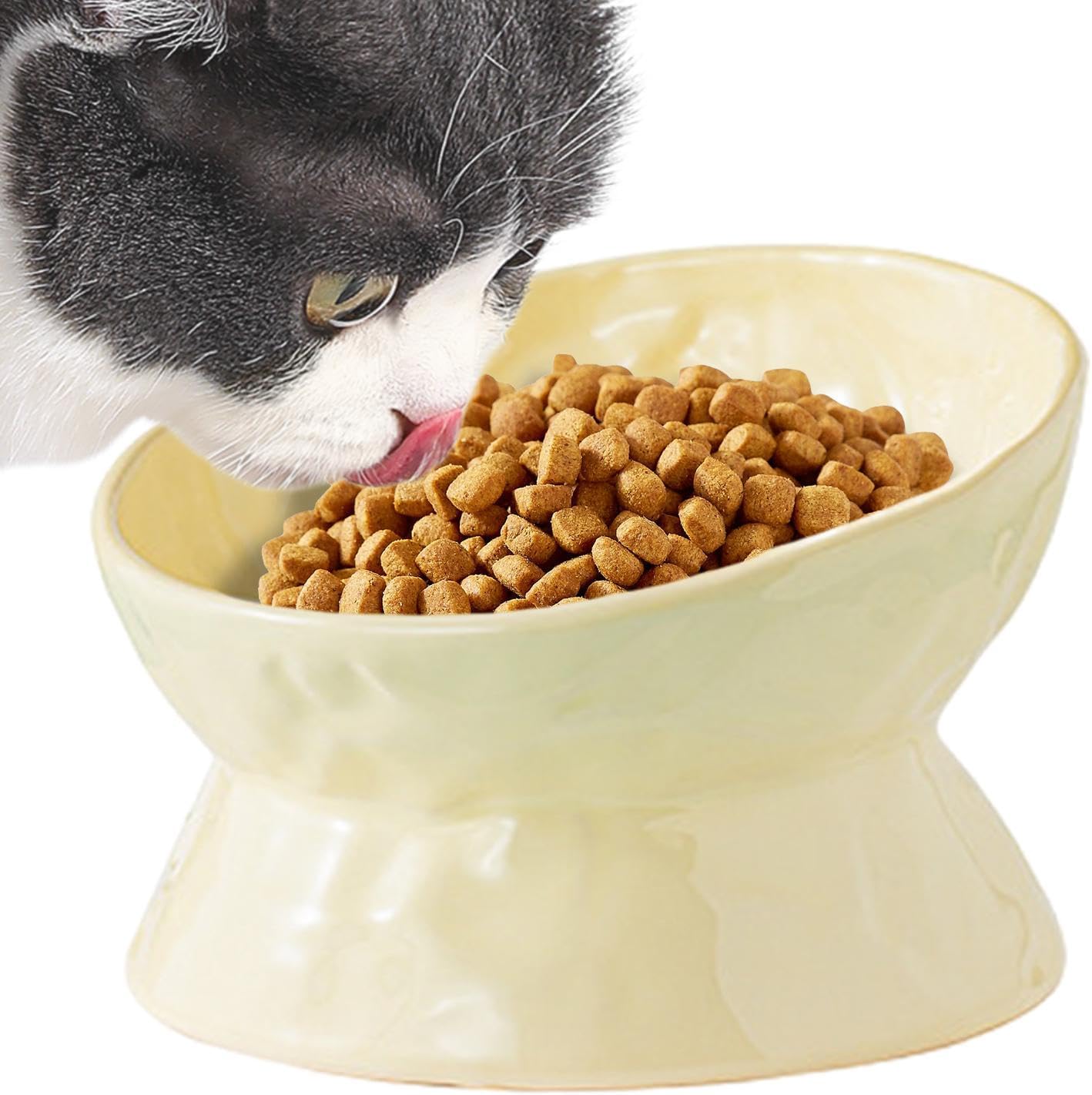 Ceramic Cat Food Bowls Elevated | Tilted Feeding Dish Water Bowls,Pet Feeding Watering Supplies for Indoor Cat and Dog, Protect Pet's Spine