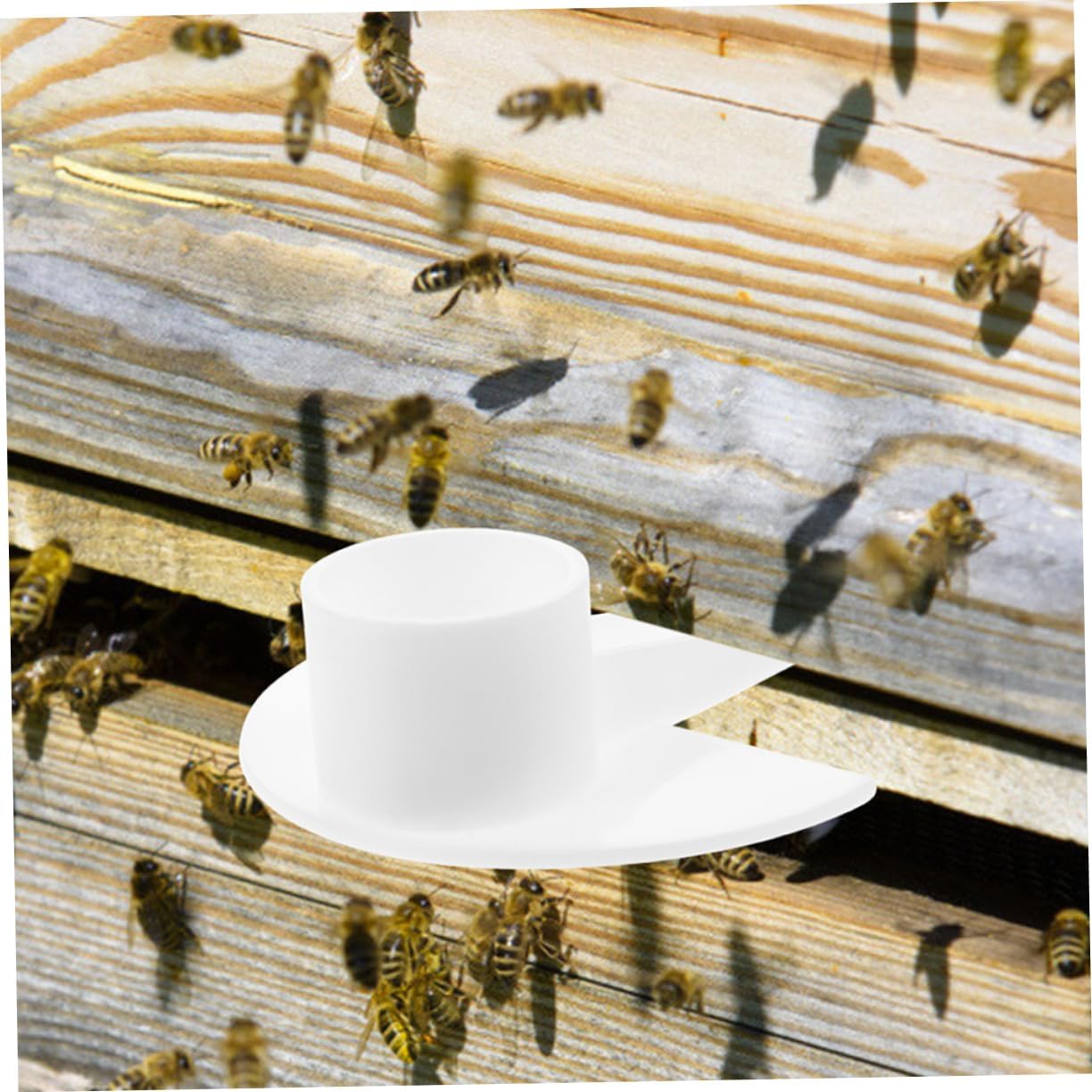 Kisangel Beekeeping Accessories 10pcs Bee Feeder Watering Tools for Outdoor Hive Feeding and Watering