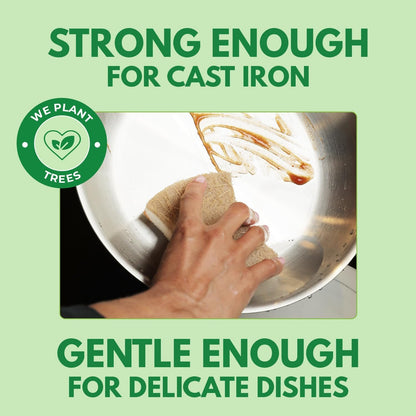 AIRNEX 12 Pack Biodegradable Natural Kitchen Sponges - Non Scratch Cellulose and Coconut Dish Sponges - Eco Friendly Sponges for Dishes with Dish Scrubber - Odourless Dual Sided Multipurpose Sponges