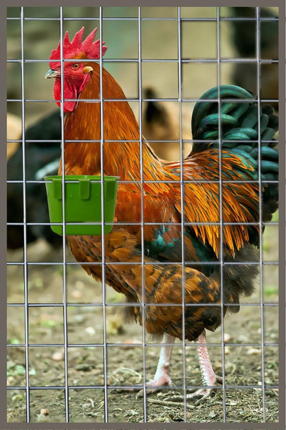 ORIBUKI 10 Pack Cage Cups Birds Feeders Seed Bowl Chicken Feeding Watering Dish Rabbit Water Food Hanging Wire Cages Box 8oz Coop Cups for Pet Parrot Parakeet Gamefowl Poultry Pigeon (Green)