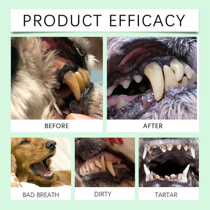 Pet Toothbrush Pen, Dog Personal Care Cleaner, 0,51 x 4,96 Inches Cat Buccal Tool Bad Breath Eliminator, Teeth Brightener Portable Health Care Solution for Travel, Vet, Visita, Igiene giornaliero