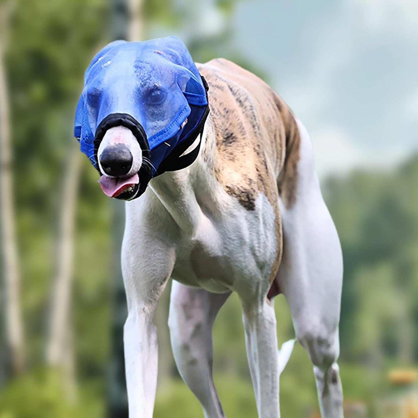 Soft Dog Muzzle, Adjustable Muzzle for Small Dogs, Dog Mouth Guard, Prevent Biting Muzzle, Dog Mouth Cover, Travel Dog Muzzle, Comfortable Dog Muzzle, Breathable Dog Muzzle, Lightweight Dog Muzzle