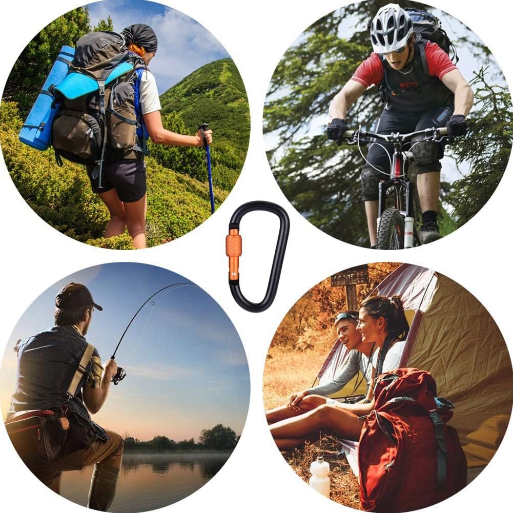 6 Pieces Upgraded D-Ring Locking Carabiner, 3.1" D Shape Keychain Clips for Outdoor, Camping, Hiking, Fishing, Home RV, Travel, 6 Spring-Loaded Gate Hook with 6 Key Rings