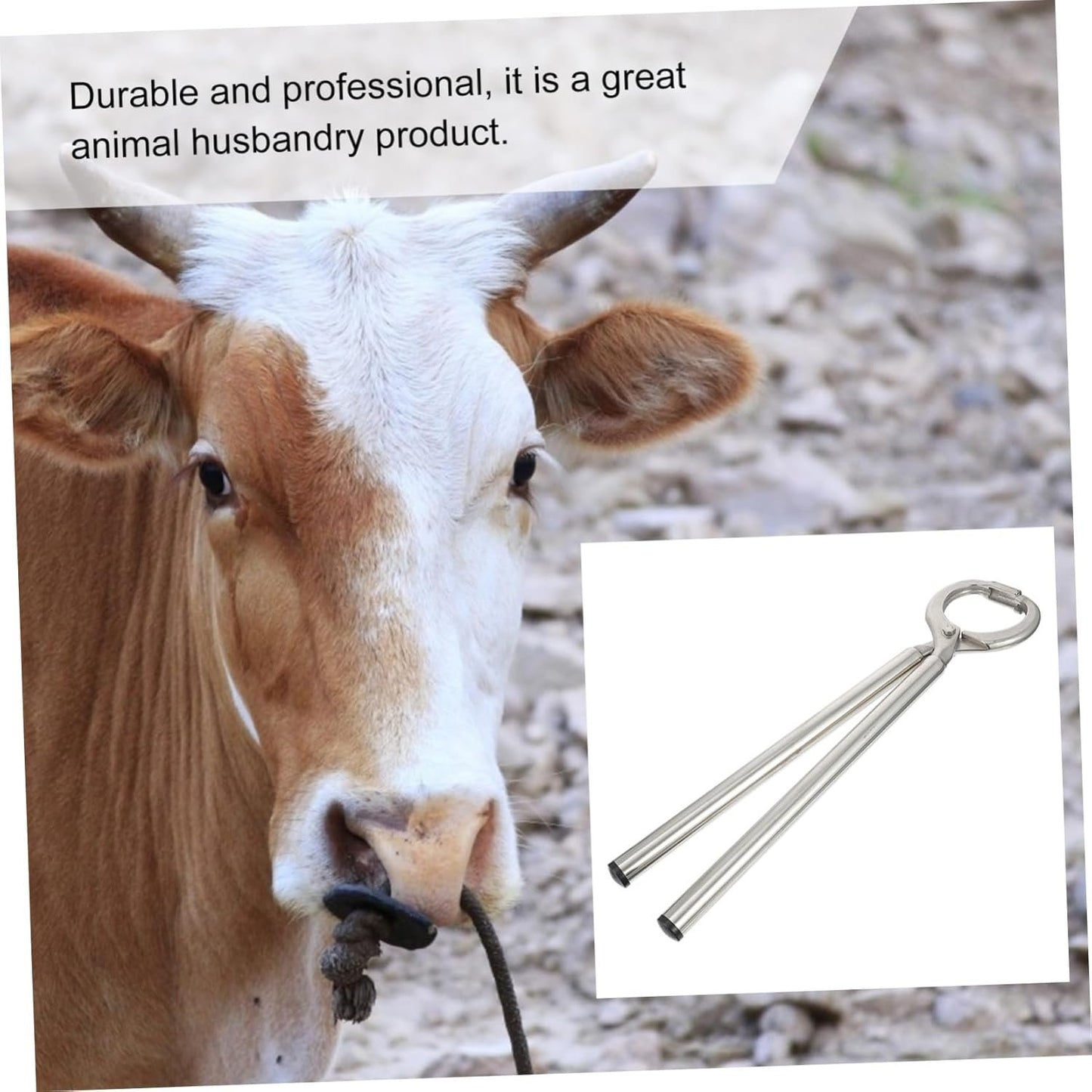 SHINEOFI 1Pc Cattle Nose Ring Pliers Durable Farm Animal Tool Ergonomic Design Safe for Livestock Rustless Wear Resistant Essential Farm Accessory
