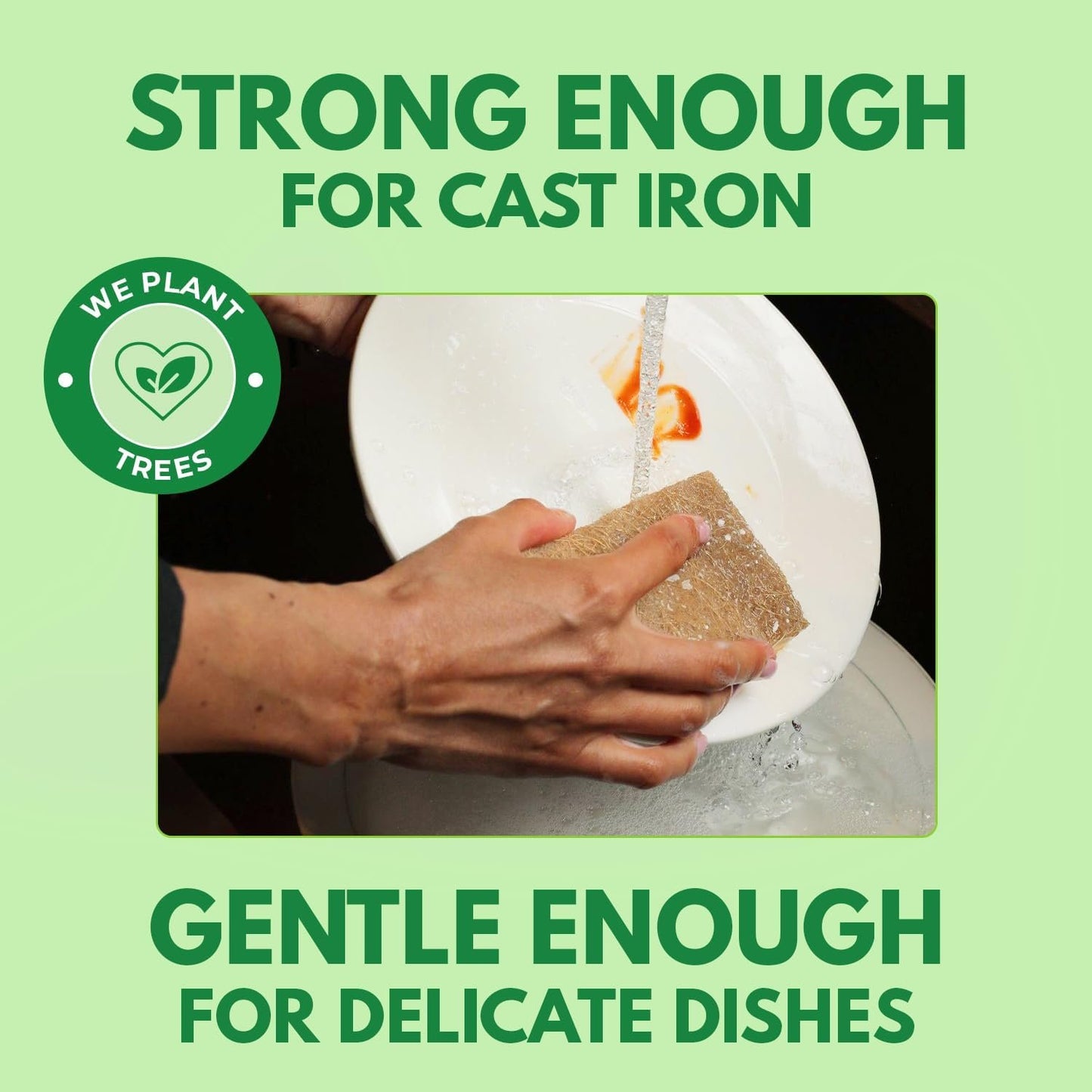AIRNEX 6 Pack Biodegradable Natural Kitchen Sponges - Eco Friendly Cellulose and Coconut Dish Sponges - Odourless Sponges for Dishes with Dish Scrubber - Non Scratch Dual Sided Multipurpose Sponges