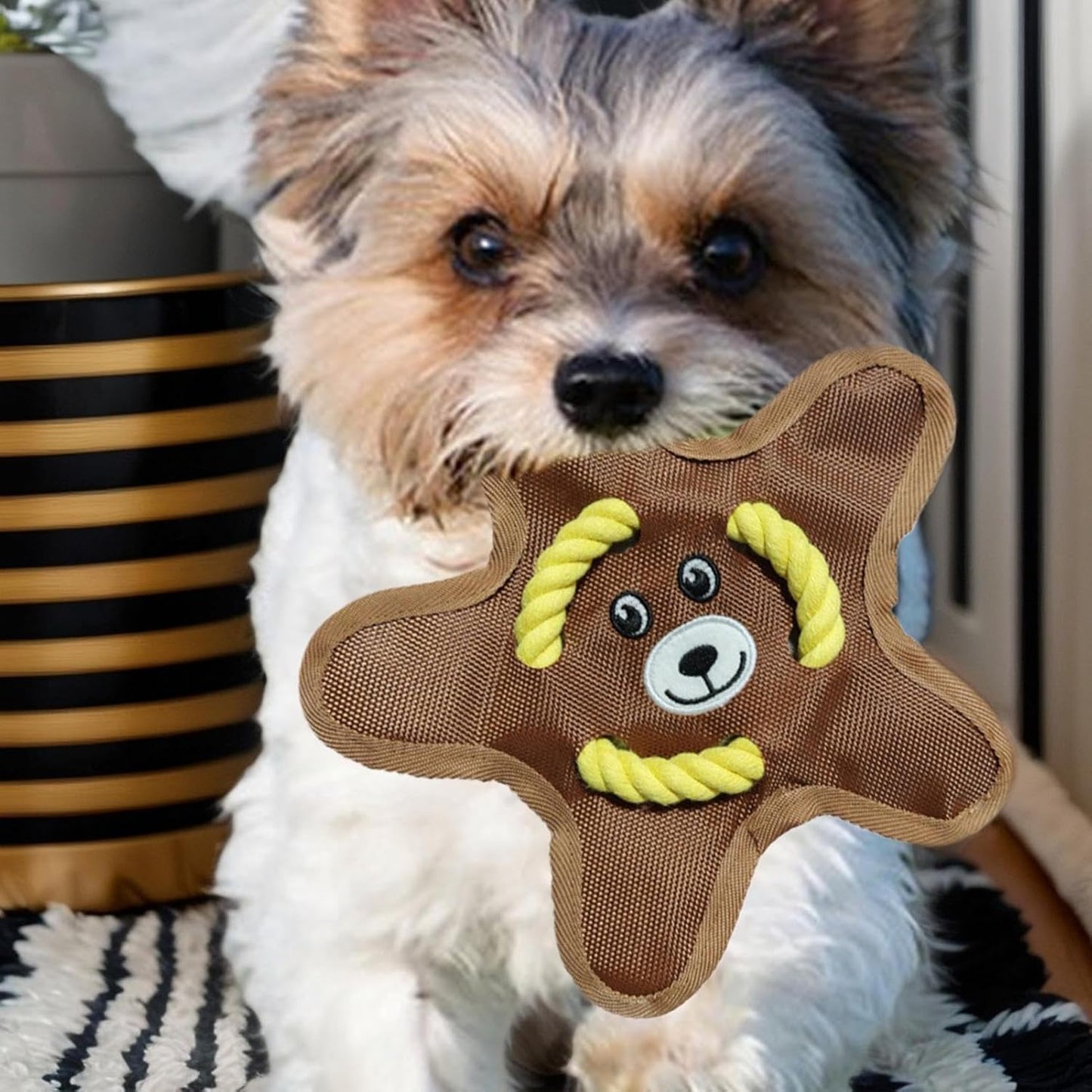 Interactive Toss Dog Toy - Sound-Activated Chewing Toy for Teeth Cleaning | High Strength Fetch Toy for Indoor, Outdoor, and Garden Play, Ideal for Dogs and Pets