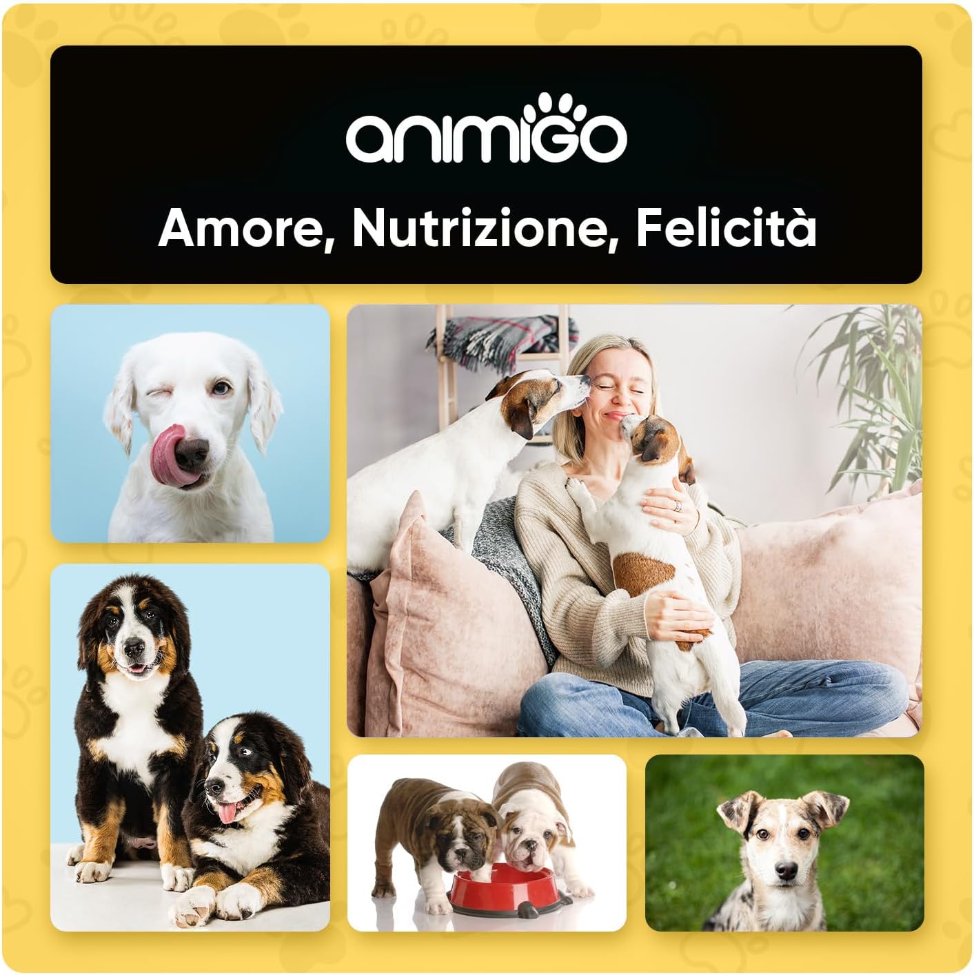 3 Heads Dog Toothbrush + Finger Brush + 2 Toothpaste for Dogs, Cleaning Kit for Dogs, Toothbrush and Toothpaste for Dogs, Anti-artartar Dog Toothbrush, Dog Toothbrush for Fresh Breath