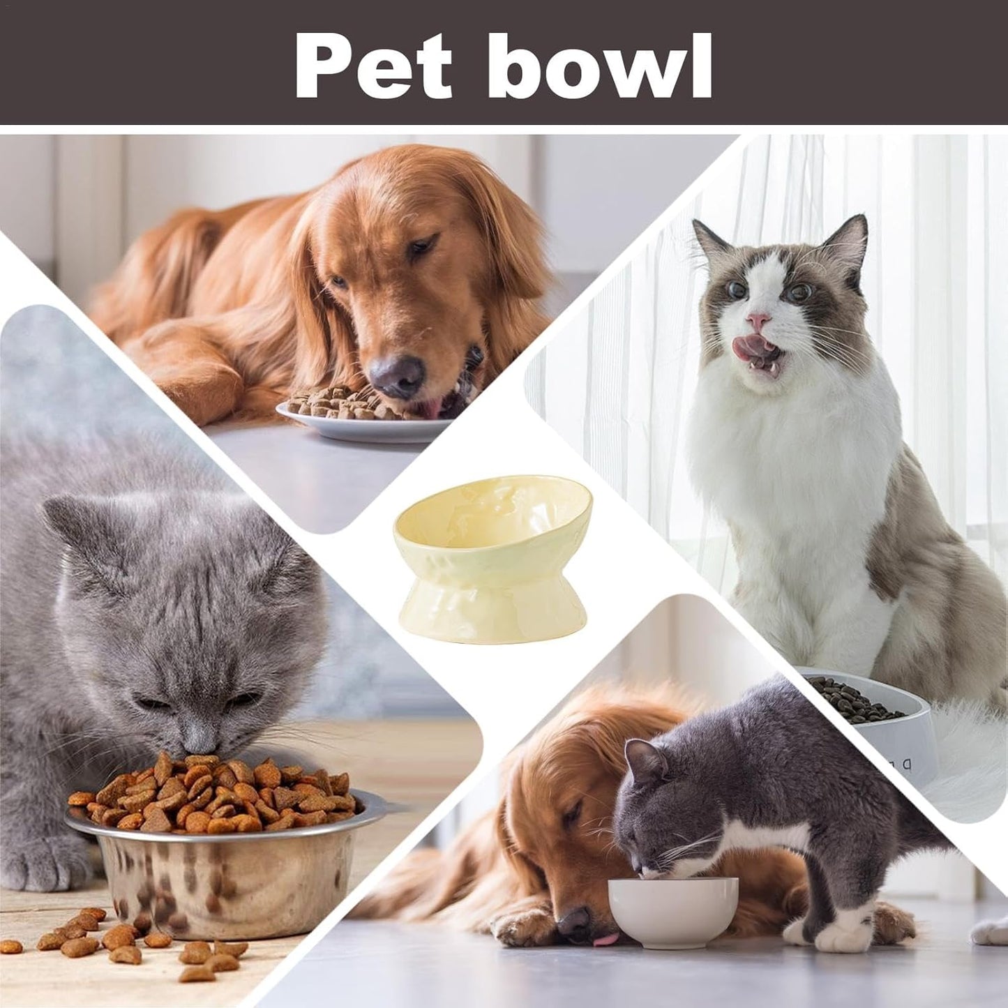 Ceramic Cat Food Bowls Elevated | Tilted Feeding Dish Water Bowls,Pet Feeding Watering Supplies for Indoor Cat and Dog, Protect Pet's Spine