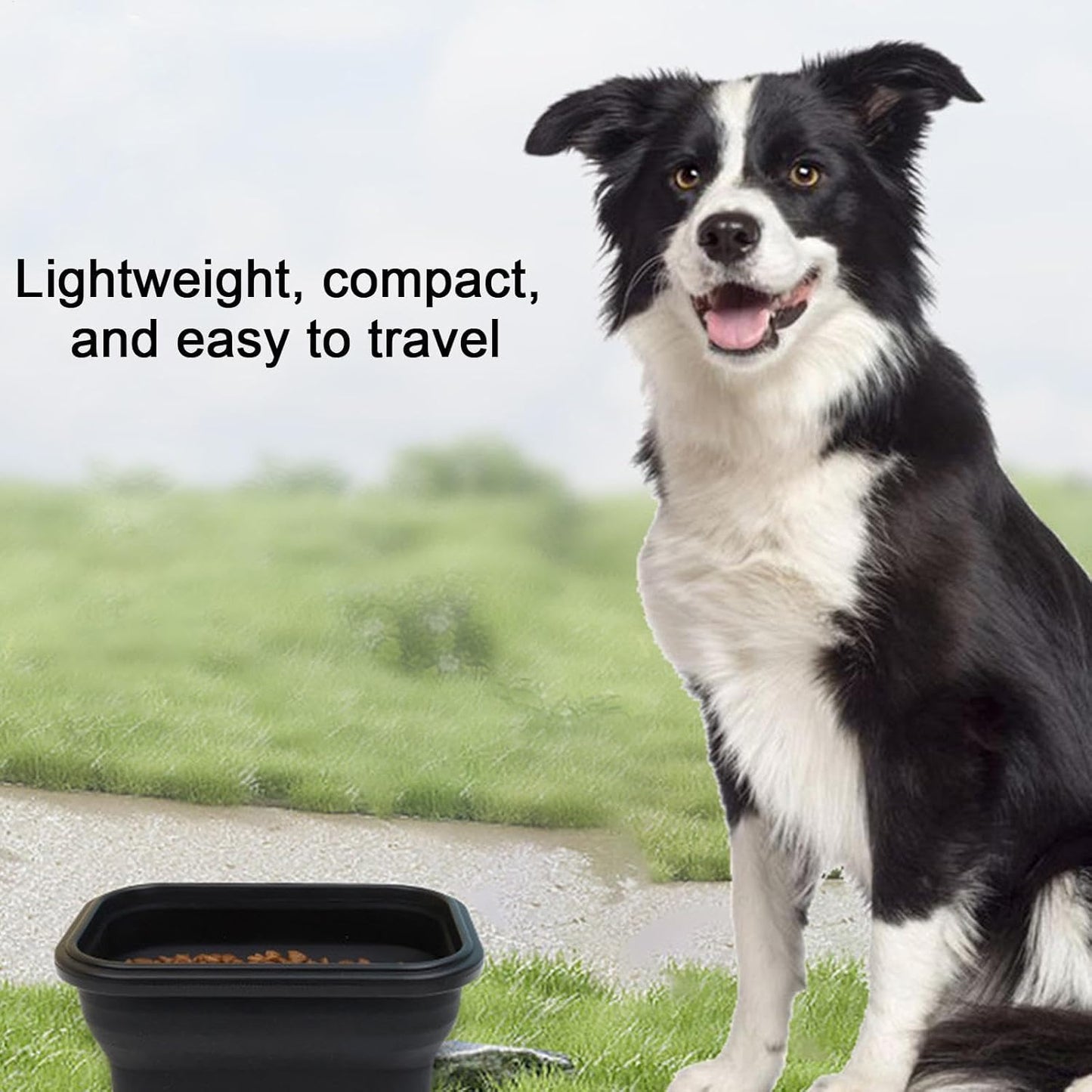 Ciotole pieghevoli per cani, multifunzionali, igieniche, compatte, ciotola da viaggio per cani, ciotola per mangiare, annaffiare per esterni, viaggi, passeggiate, escursioni