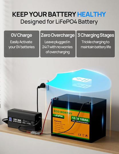 ECO-WORTHY 20A Battery Charger 12V Lithium LifePO4 Battery Charger 14.6V Automatic Smart & Maintenance for Deep Cycle Battery Boat RV