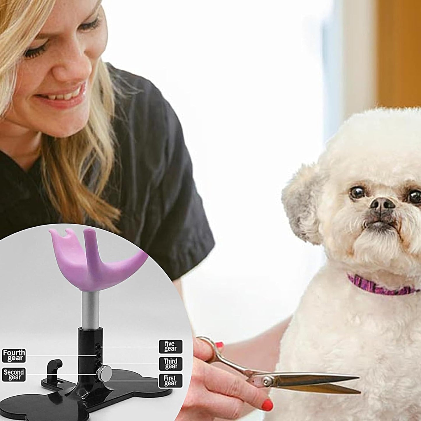 Small Dogs Grooming Chair, Standing Bathing Support, 5.7x7.28 inches Adjustable Height, Sturdy Material, Assistive Stand Ladder for Dog, Trimming, Showering, Grooming