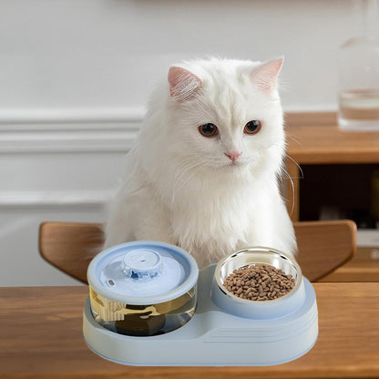 Automatic Cat Feeder,Cat Feeding Station | Anti Slip Base, Removable Pet Feeding and Watering Supplies for Cattery Management