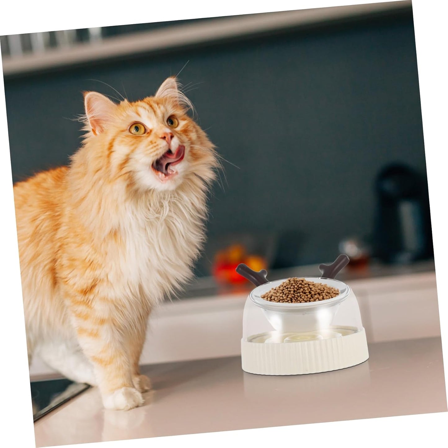 Elevated Cat Bowls Dog Puzzle Feeder Tip Ceramic Feeding Bowl for Cats and Small Dogs Easy to Clean Space Efficient Design for Feeding and Watering