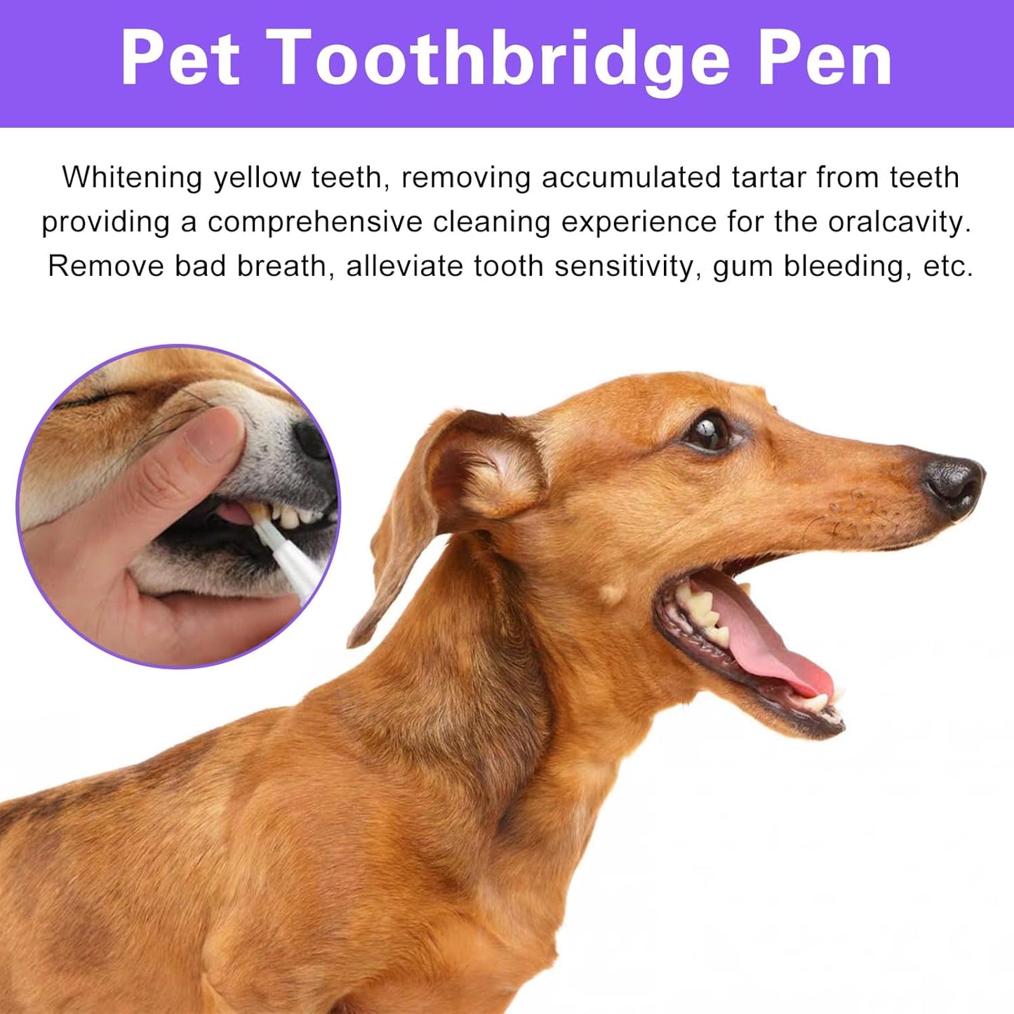 2 Pieces Dental Repair Gel for Dogs, Pet Gel for Oral Care, Fresh Breath for Dogs and Cats, Pet Toothbrush Pen, Pet Oral Care for Dog Cat, Removes Stains and Tartar of Pets