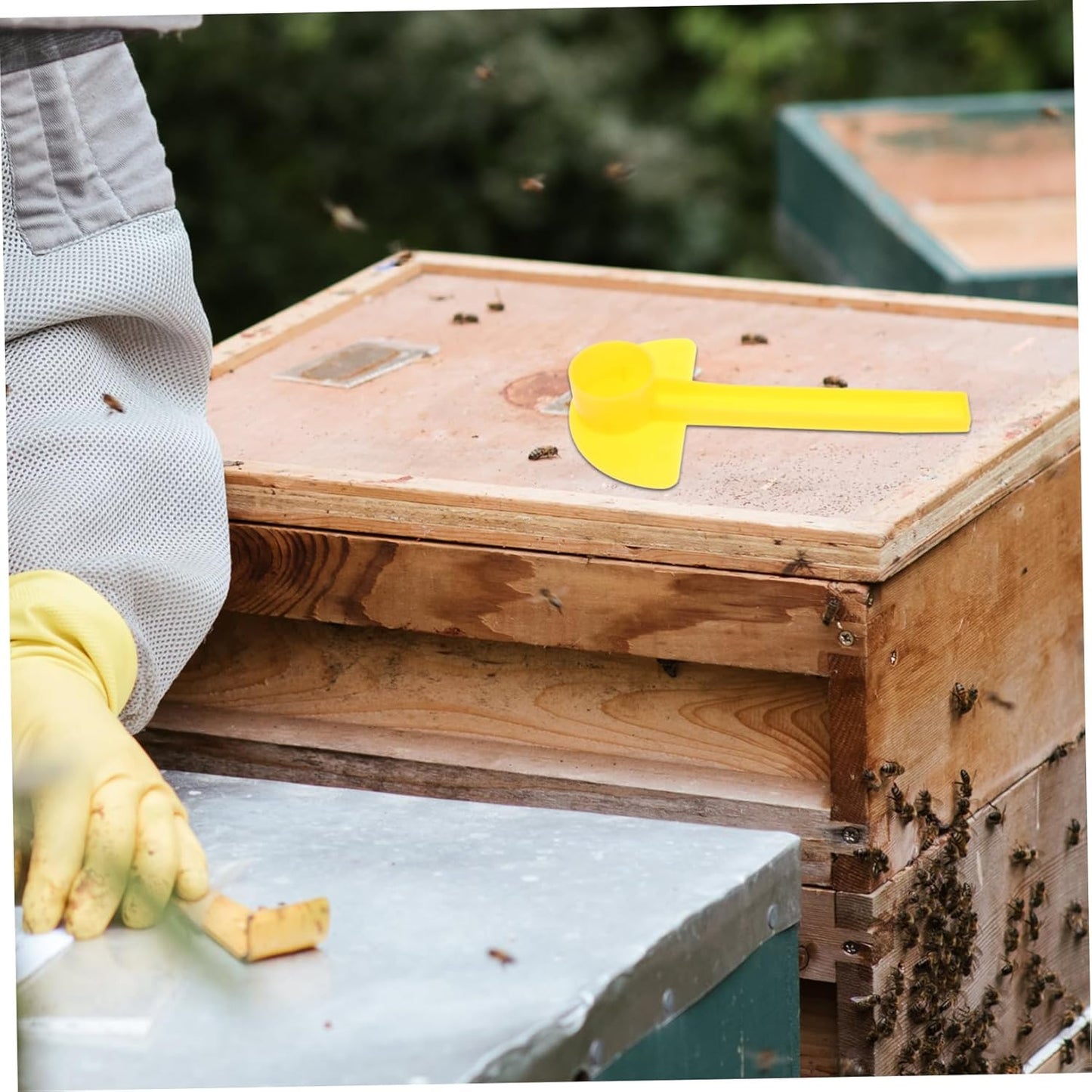 Mipcase 10Pcs Beehive Water Dispenser Honeycomb Entrance Feeder Portable Bee Bottle Feeder for Easy Feeding Watering Compatible with Various Beehives Beekeeping Tool
