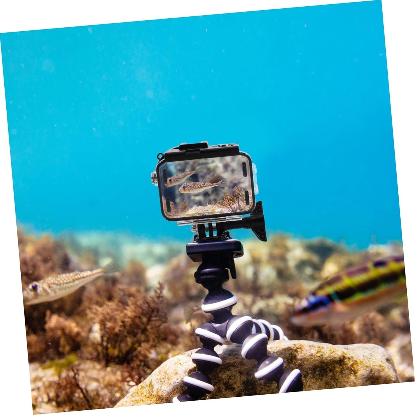 KALLORY Camera Protective Shell with Dual Cold Shoe Mounts Underwater Housing Case for Digital