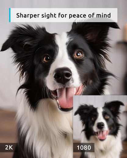 blurams Pet Camera 2K, 360Â° Indoor Security Camera, Dog Camera with Phone App, PTZ Cameras for Home Security Indoor, 5GHz&2.4GHz Dual-Band, 2-Way Talk, Motion Tracking, Color/IR Night Vision, Cloud&SD