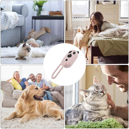 Dog Water Brush,4 in 1 Dog Hair Removal Comb with Water Spray | Steamy Pet Massage Tool, Pet Comb for Shedding, Cleaning, Grooming