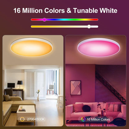 Smart Ceiling Light 48W, 12Inch Flush Mount RGB LED Ceiling Lights,Bluetooth+ WiFi App Control+Remote Color Changing Ceiling Lamp,2700K-6500K Dimmable,Sync with Music,Compatible with Alexa Google Home