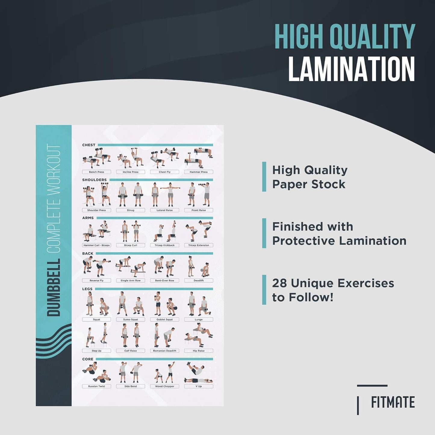 FitMate Dumbbell Workout Exercise Poster - Workout Routine with Free Weights, Home Gym Decor, Room Guide (16.5 x 25 Inch)