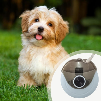 Spazzola per capelli per cani, con tacco, spazzola per capelli per cani, forfora, pettine multifunzione per animali domestici, attrezzi per la cura dei cuccioli per gatti