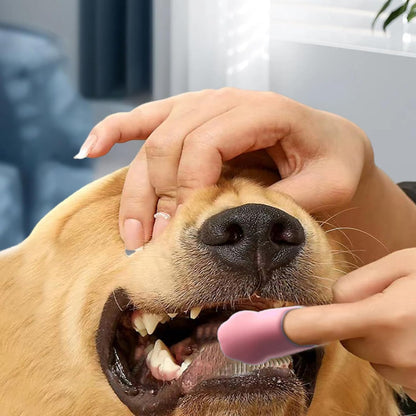 Toothbrush For | Cat Toothbrush Plaque Removal | Oral Care Properties for Pets - Dental for Dogs, Easy Teeth Cleaning, Tooth Brush
