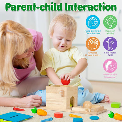 Wooden Montessori Toys for 1 Year Old, 5-in-1, Object Permanence Box, Coin Box, Carrot, Catch Worm, Shape Sorter, Learning Toy for Toddler Aged 1, 2, 3 Year Old Boys Girls