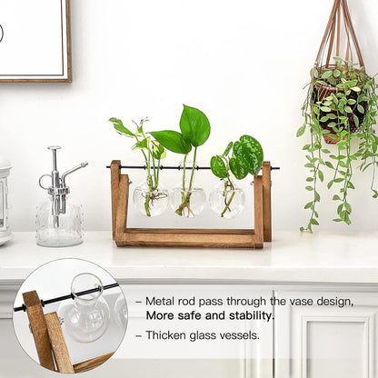 Ivolador Desktop Glass Plants Terrariums Bulb Vase with Retro Solid Wooden Stand and Metal Swivel Holder for Hydroponics Plants Home Garden Wedding Decor Indoor Outdoor (3 Bulb Vase)