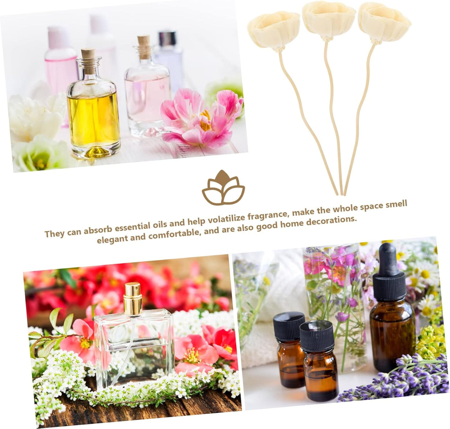 GLEAVI 10Pcs Flower Diffuser Sticks Dried Aromatherapy Sticks for Home Fragrance Sticks for Essential Oil Diffuser Decor Kitchen Bedroom Living