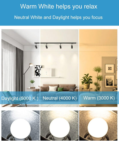 Scheinenda LED Light Bulbs 150W Equivalent(20w)，A21 LED Bulb 2200LM High Lumens and 5000K Daylight Non-dimmable Lighting, E26 Base LED Bulb for Home Lighting, Ceiling Fixture, Pack of 4