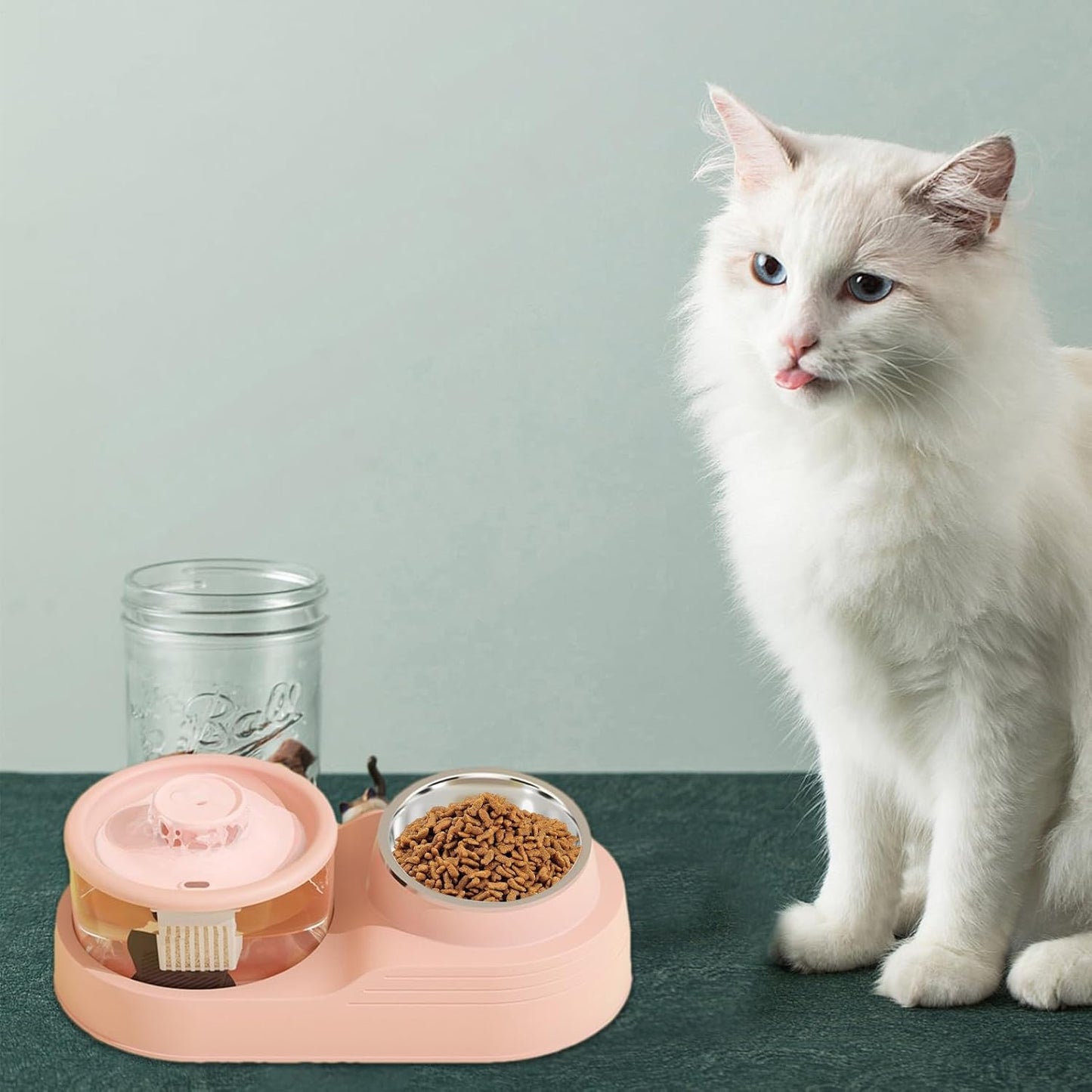 Mangiatoia per gatti e distributore di acqua, 2 in 1, distributore automatico di acqua per gatti, forniture per l'alimentazione e l'irrigazione degli animali domestici per la gestione di allevamenti