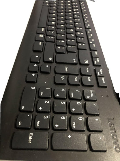 Lenovo 4Y50R20863 Essential USB Mouse and Lenovo 300 USB Keyboard (GX30M39655) | Wired Ergonomic Bundle