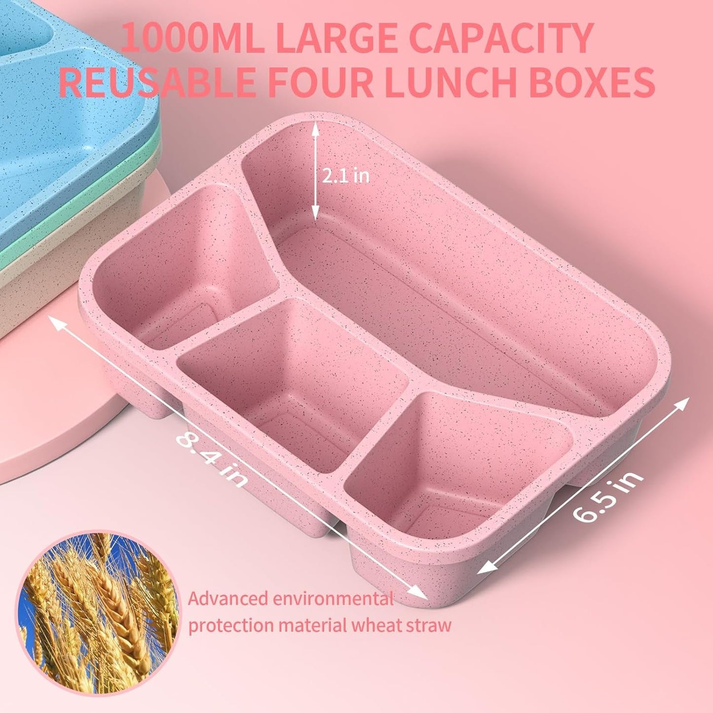 XGXN Bento Box Adult Lunch Box (4 Pack), 4-Compartment Meal Prep Container for Kids, Reusable Food Storage Containers with Transparent Lids, No BPA, Microwaveable (Wheat (Green/Blue/Pink/Beige))