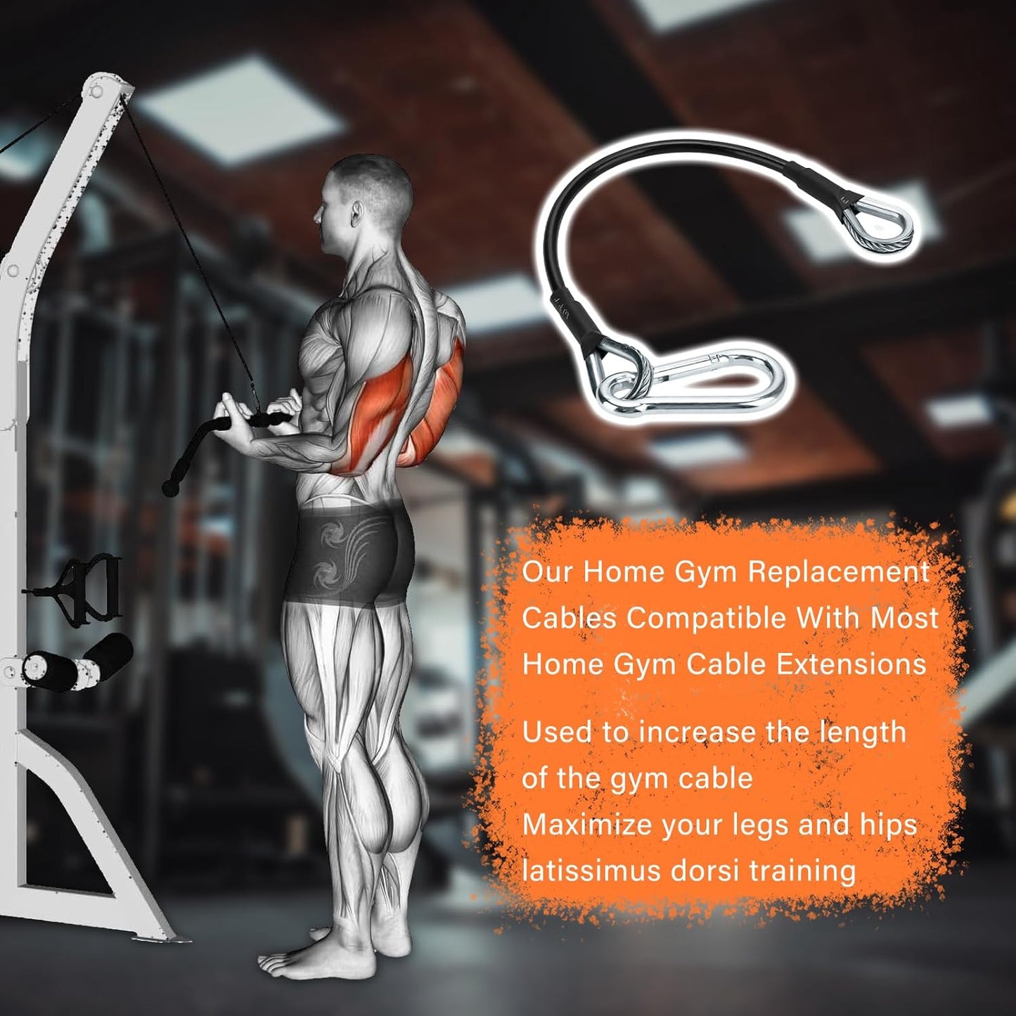 'ArrogantF 10'' Gym Cable Extension Compatible with Bowflex Home Gym Accessories,for LAT/Tricep Pull Down and Leg Extensions Machine'