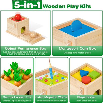 Wooden Montessori Toys for 1 Year Old, 5-in-1, Object Permanence Box, Coin Box, Carrot, Catch Worm, Shape Sorter, Learning Toy for Toddler Aged 1, 2, 3 Year Old Boys Girls