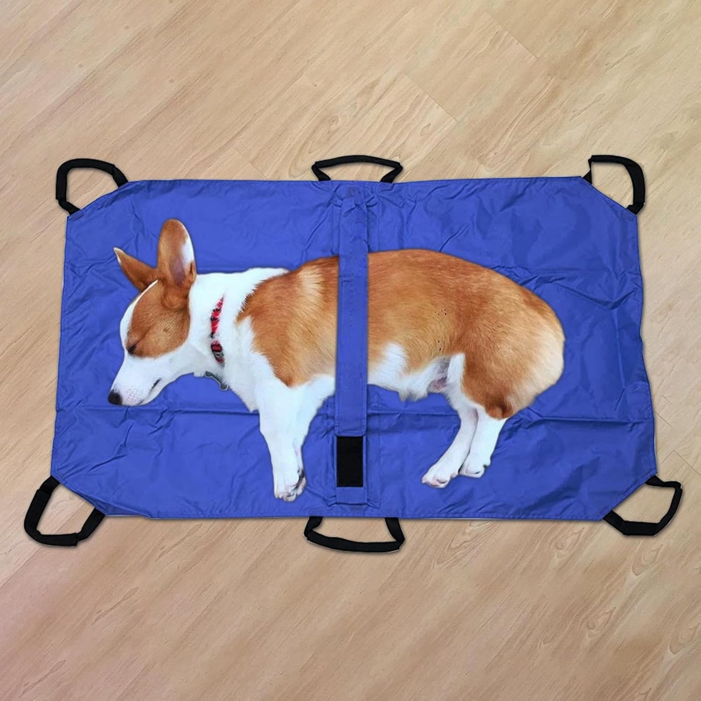 Pet Stretcher, Puppy Transport Carrier, Foldable Rescue Tool, 47.24x29.13x1.18 inches, Multifunctional Transfer Design, Safety Strap Included, Medium Large Animal Use, Bunny Cat