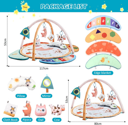 REMOKING Play Mat for Infant, Baby Play Gym for Tummy Time,Early Sensory Toys with Soft Rattles and Mirror, Newborn Toy for Baby Boy Girl 0-6-12-18 Months