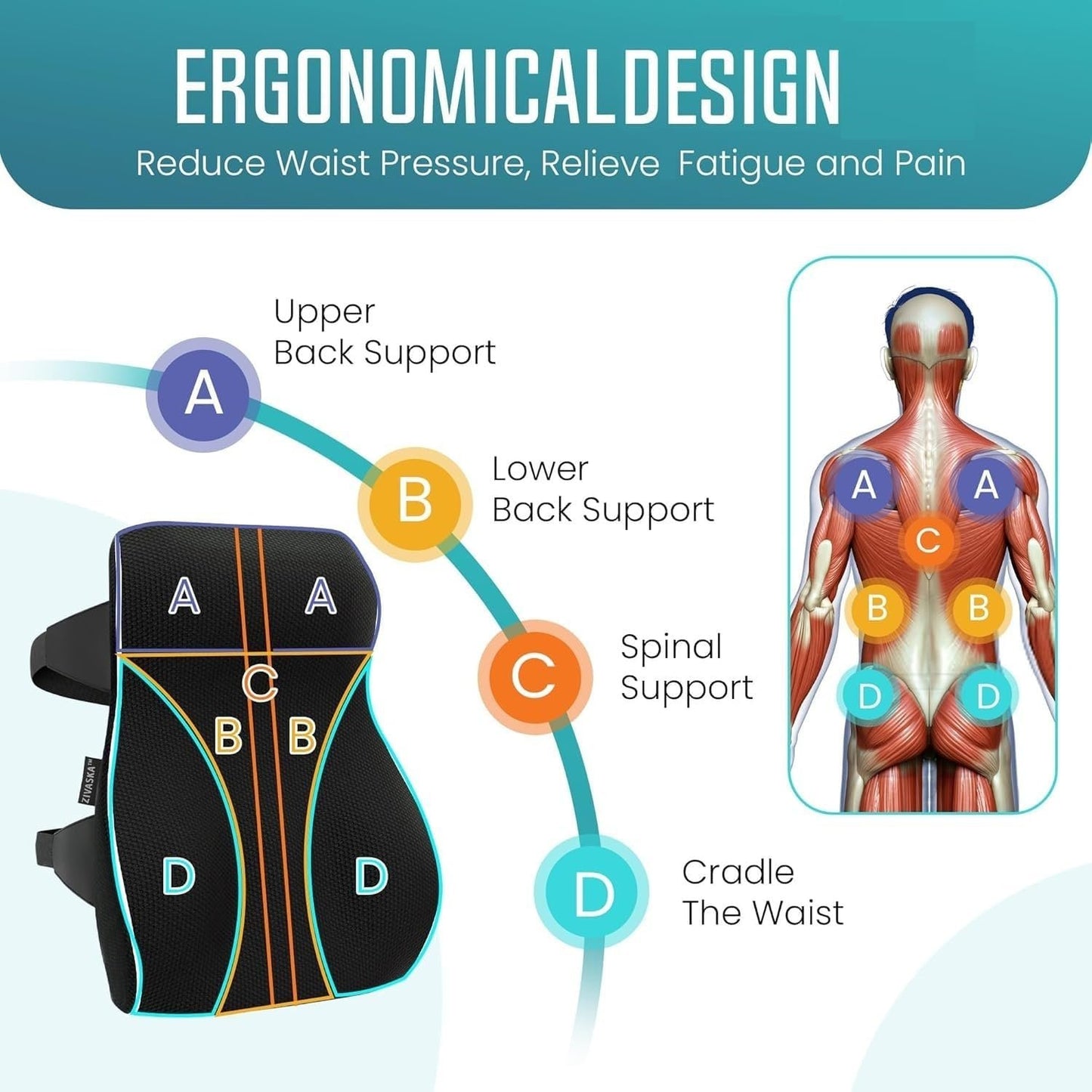 [2025 NEW] ZIVASKA Lumbar Support Pillow | Memory Foam Back Cushion for Back Pain Relief | Improves Posture | Mesh Cover |Double Adjustable Straps | For Office, Gaming Chairs, Car Seats, Recliners (2)